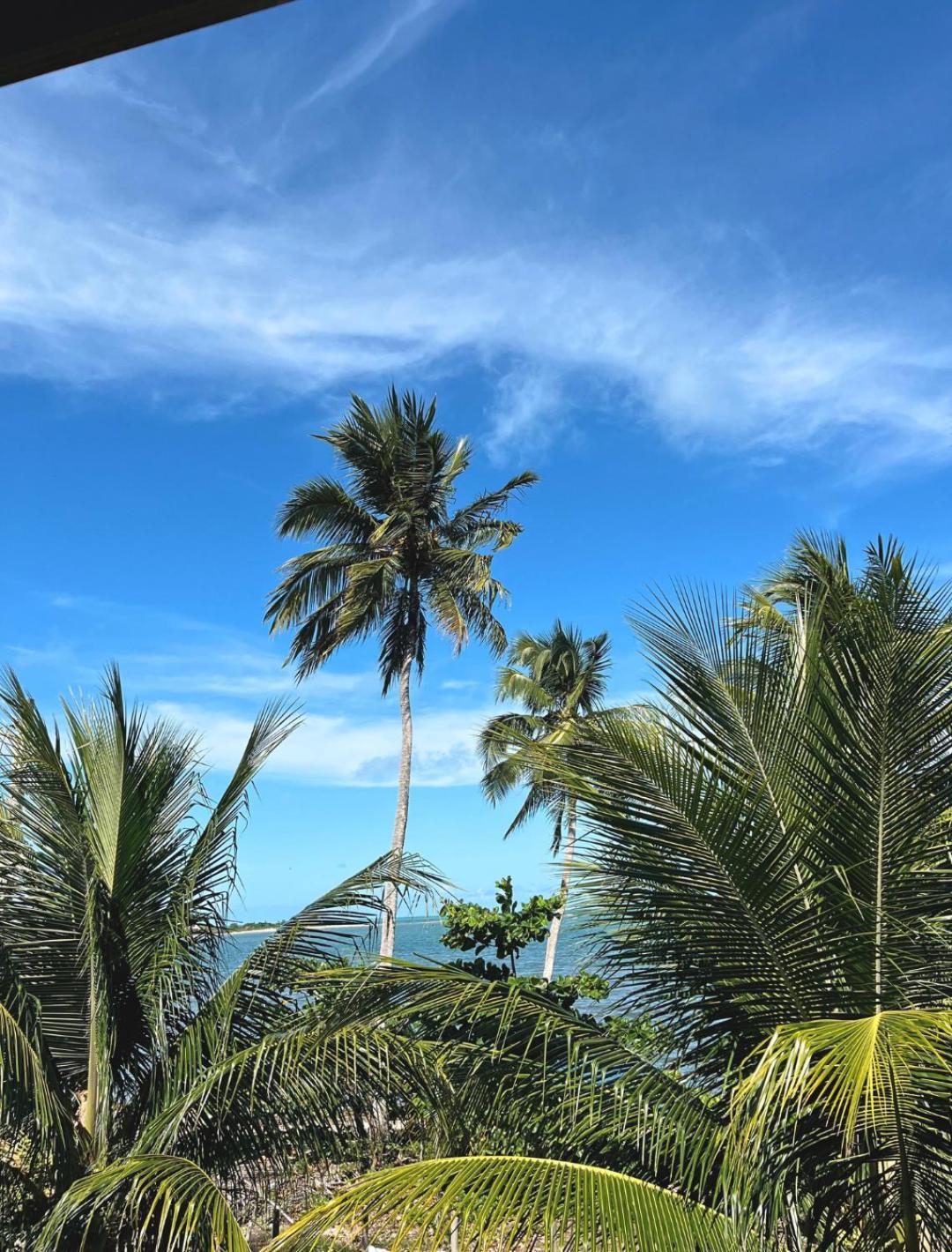 Suites Ventos E Velas Praia Pôrto de Pedras Esterno foto